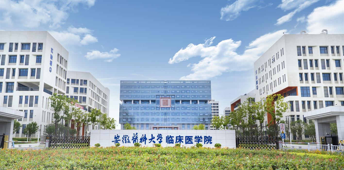 安徽医科大学临床医学院学子斩获2025智能穿戴与活动健全技术挑战赛全国二等奖